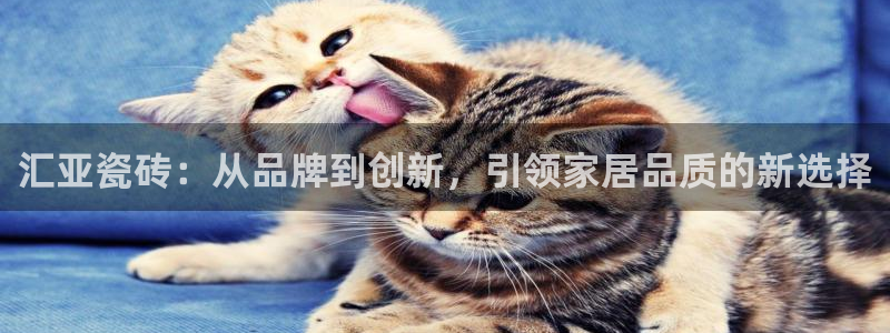 必一体育秀给网