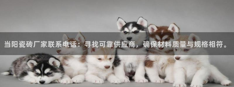 必一体育下载app下载