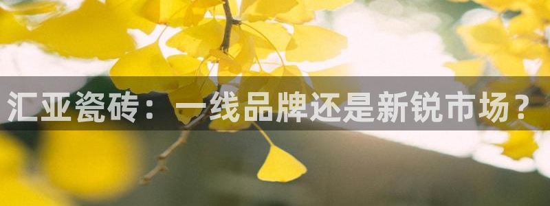 必一体育app下载