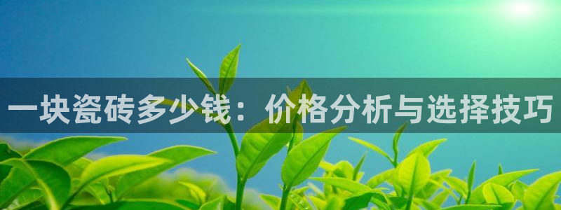 必一体育合法吗