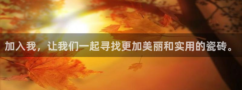 必一体育sport下载