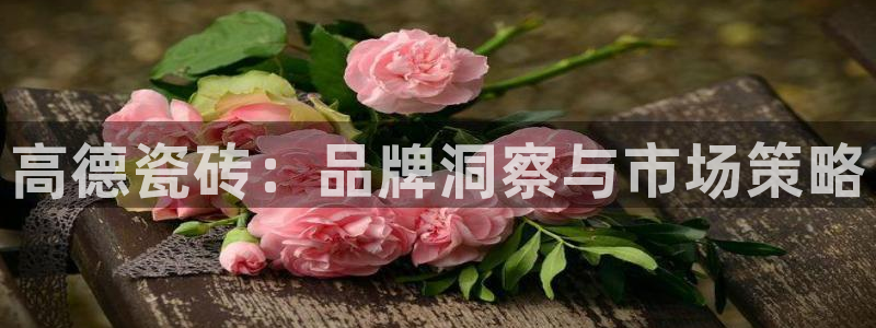 必一体育手机下载