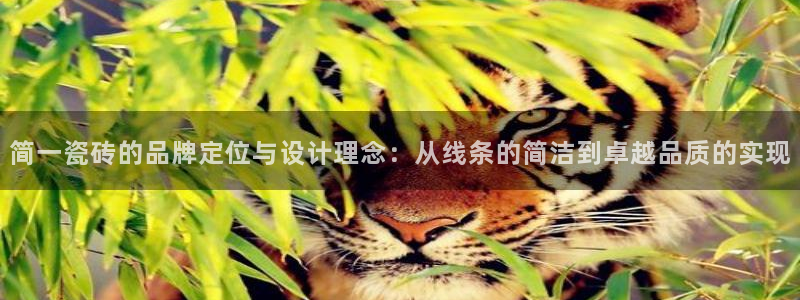 必一体育运动app下载