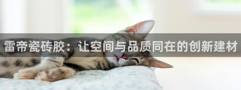 必一体育秀给网