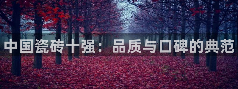 必一体育APP下载安装