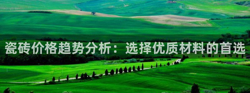 必一体育app下载装机吧