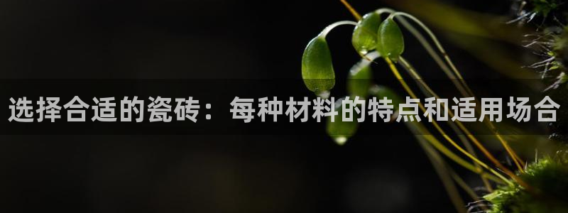 必一体育黑平台