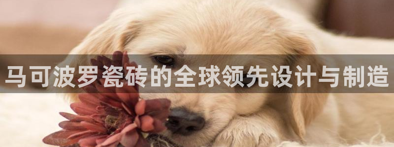 必一体育是啥