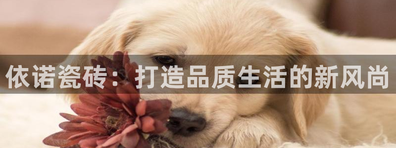 必一体育下载入口