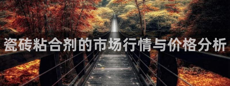 b体育必一运动网页版在线登录入口