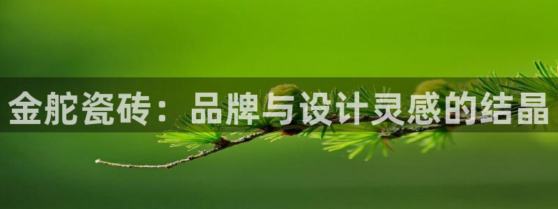 必一体育sport官网