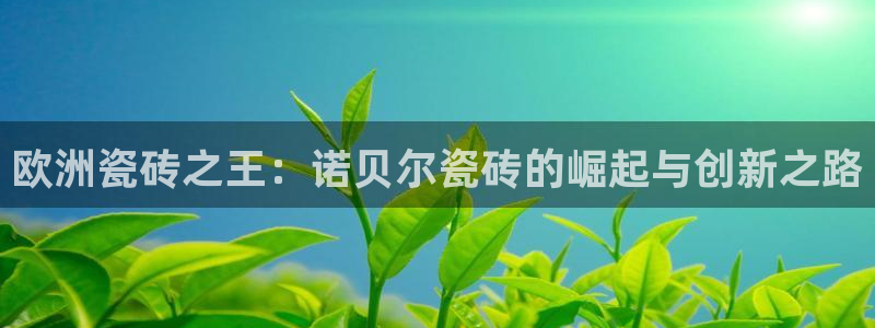 必一运动 b 体育素描版