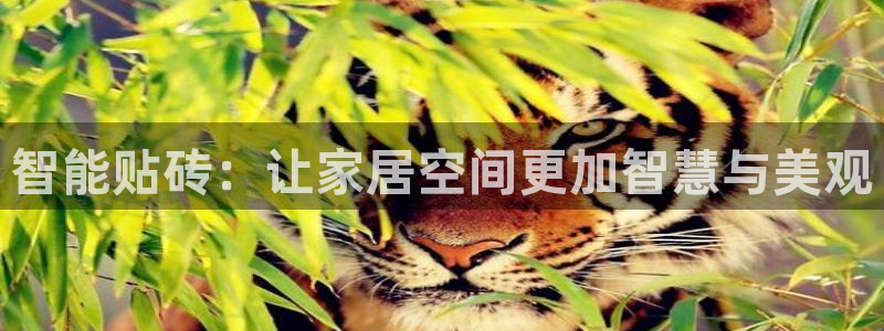 必一体育能提现大金额吗