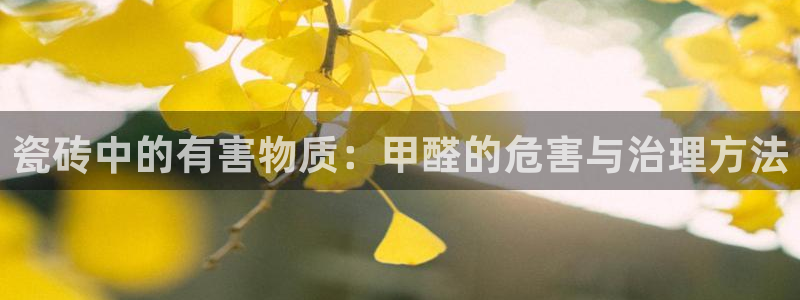 必一体育在线入口
