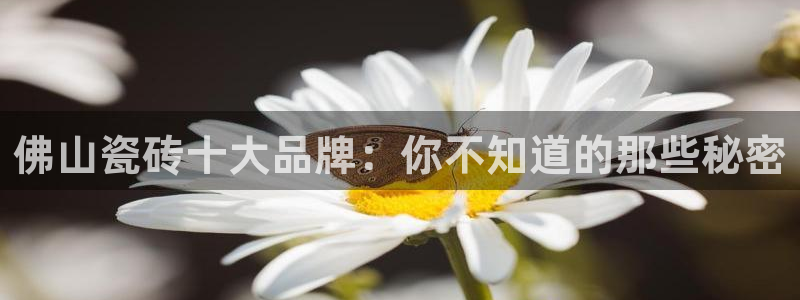 必一体育登录入口APP