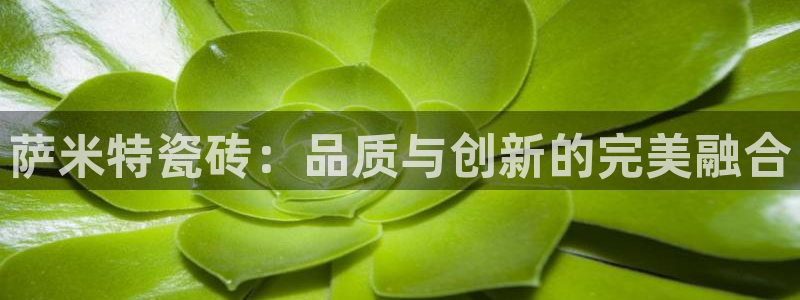 必一体育在线登录