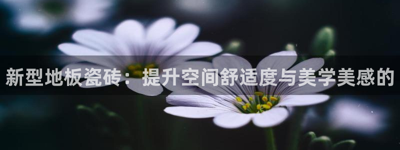必一体育皮尔斯