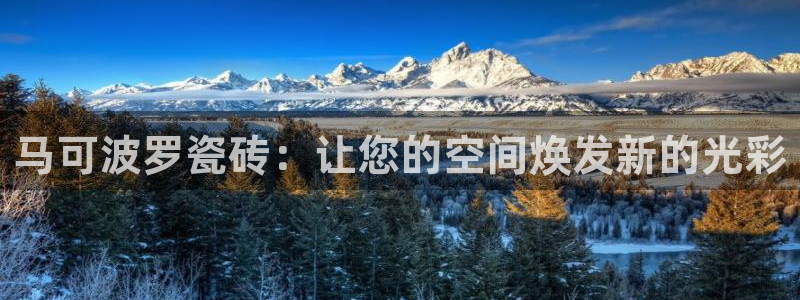 必一体育app官方正版下载