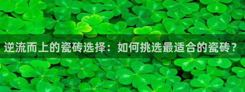 必一体育是哪里的台子