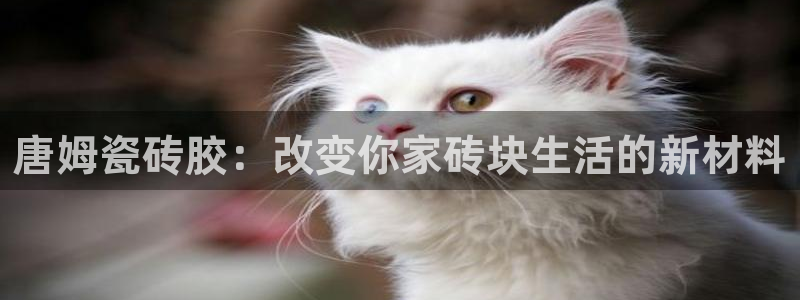 必一运动 b 体育素描版