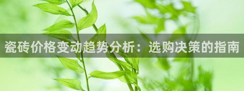 必一体育bsport2023-04-21