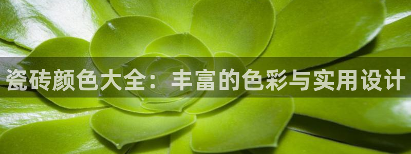 必一体育皮尔斯