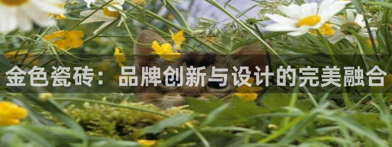 必一体育app官方网站