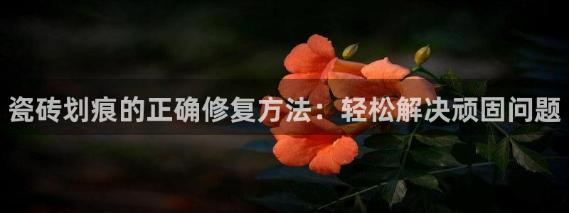 必一体育app官方网站