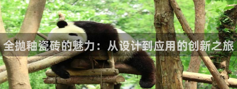 必一体育sport官网