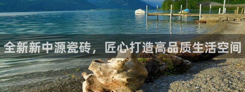 必一体育bsport下载