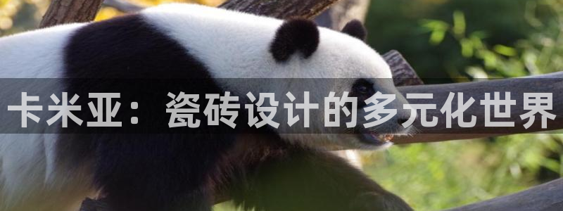 必一体育全站在线登录入口