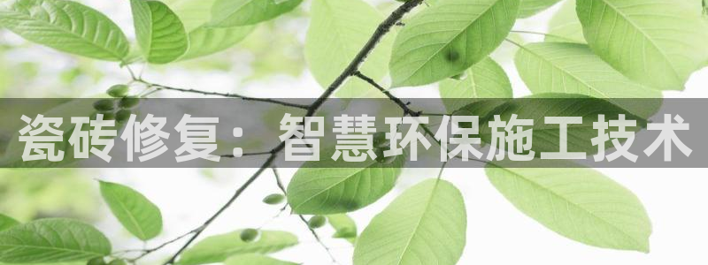 必一运动官网登录入口