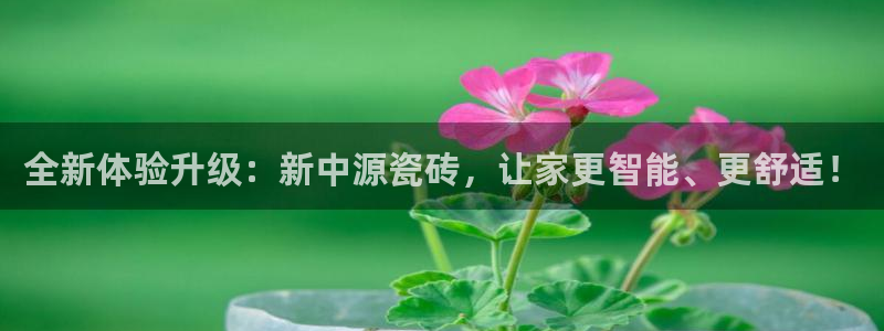 必一体育登录入口APP