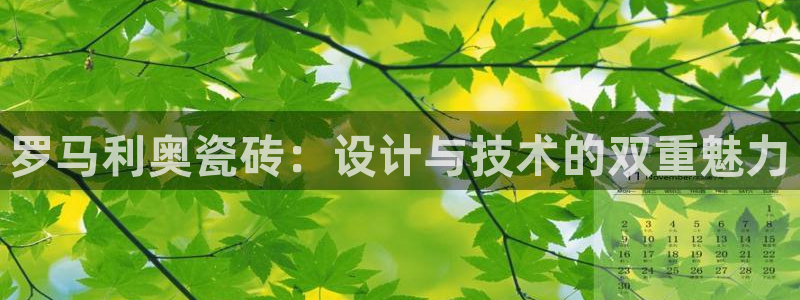 必一体育运动app下载