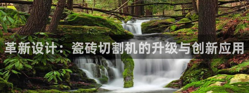 Bsport体育app必一