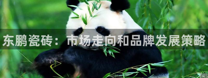 必一体育在线入口