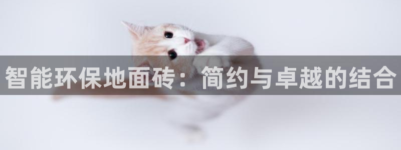 必一体育黑平台