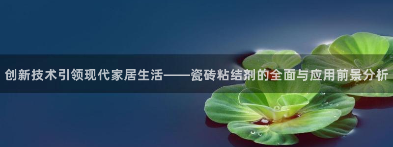 必十二和必一的副作用