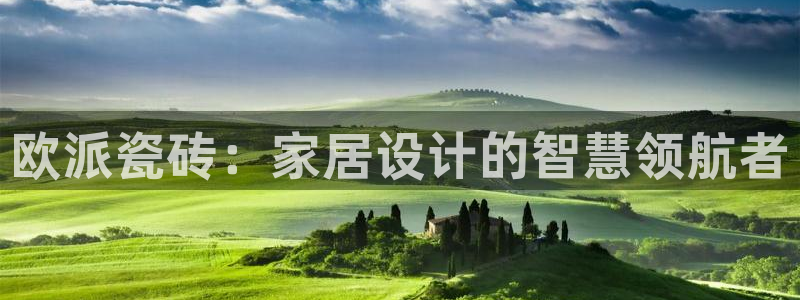 必一体育在哪下