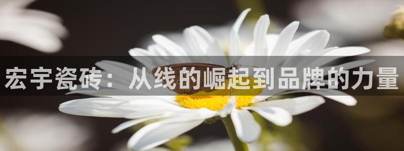 必一体育网页版登录