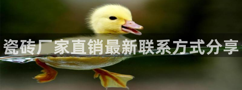 必一体育app官方下载入口