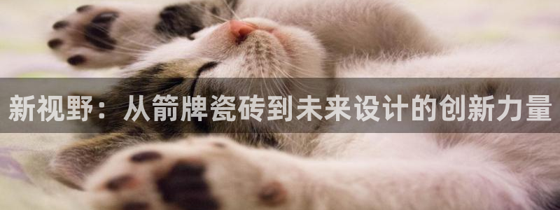 必一运动 b 体育素描版