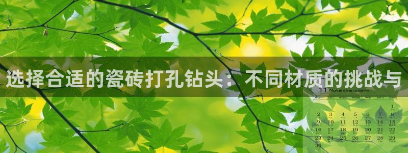 必一体育最新官网入口首页